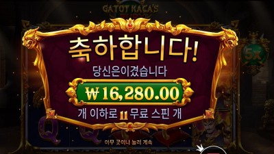 프라그마틱 가토 카카즈 퓨리