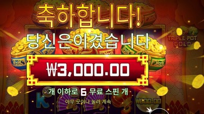 트리플 팟 골드 3천원