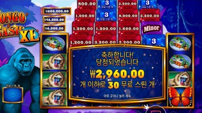 콩고 캐시 30스핀