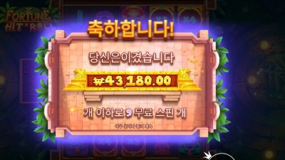 포춘 힛 앤 롤 216배