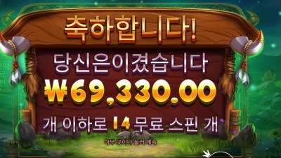 프라그마틱 릴리즈 더 바이슨 347배