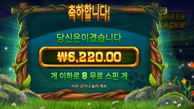 팀버 스택스 6천원