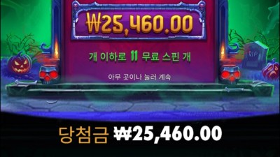 인펙티브 와일드