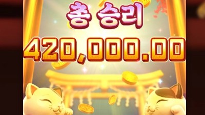 고양이들이 재롱부리네