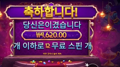 지니스 젬 보난자 2콩 배팅