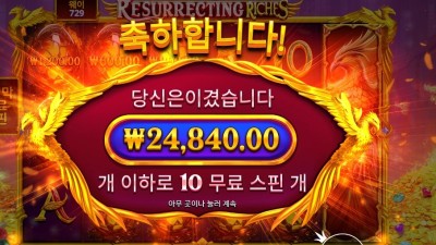 레저렉팅 리치스 24천원