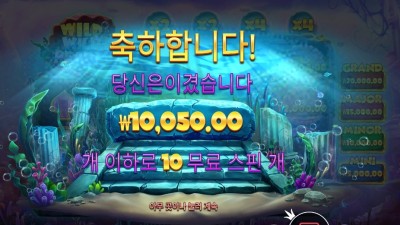 와일드 와일드 펄스 １콩