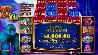 콩고 캐시 XL 33스핀