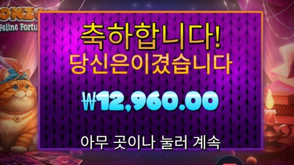 프라그마틱 폰조 펠라인 포춘스 후기