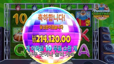 펭귄 크리스마스 1071배