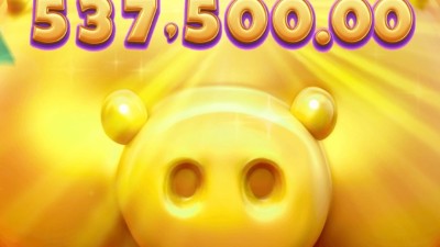 피지 행운 돼지