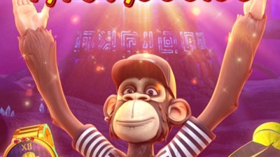 피지 와일드 원숭이