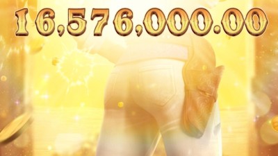 피지 와일드 바운티 쇼다운