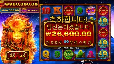 파이어 스탬피드 후기