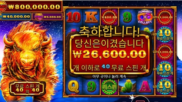 파이어 스탬피드 후기