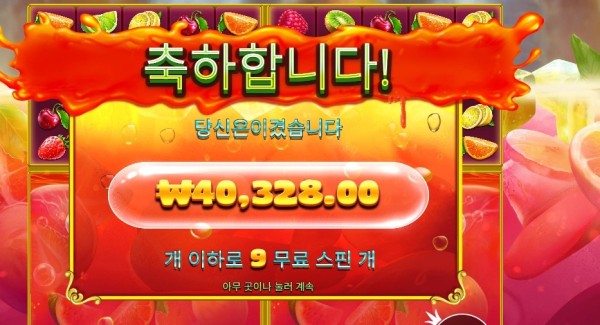 쥬시 후르츠 멀티홀드 ４콩