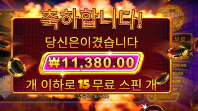 캐시 칩스 11천원