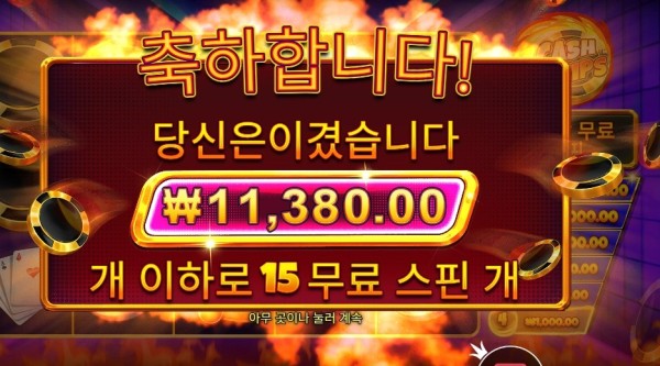 캐시 칩스 11천원