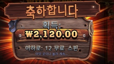 와일드 웨스트 골드 2천원