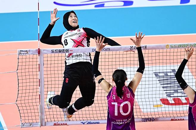 '정관장과 결별' 메가 출국…