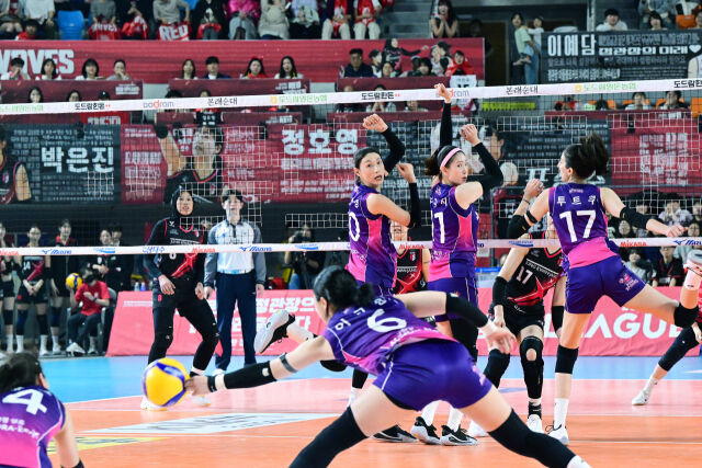 [챔프전 비하인드] 얼마나 기쁘면 '배구 여제' 김연경의 키스…동갑내기 절친도 당황한 순간 [곽경훈의 현장]