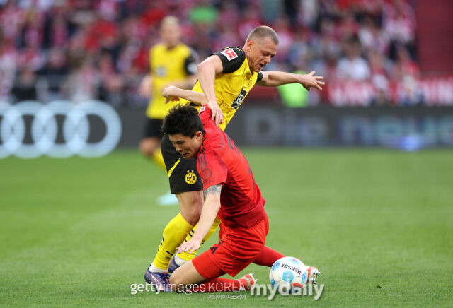 김민재 훈련 중단 비상사태, 바이에른 뮌헨 챔스 탈락 위기…'인터밀란 원정 출전 불투명'