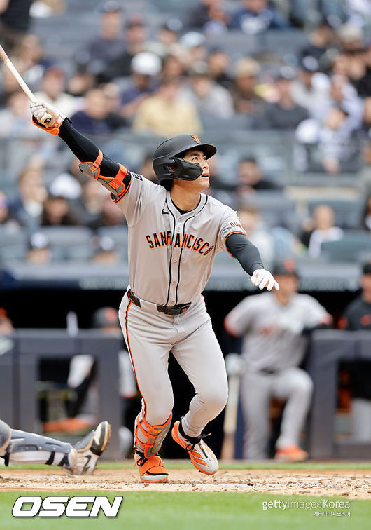 이정후한테 뺨 맞고 탬파베이에 9K 화풀이, 충격 극복