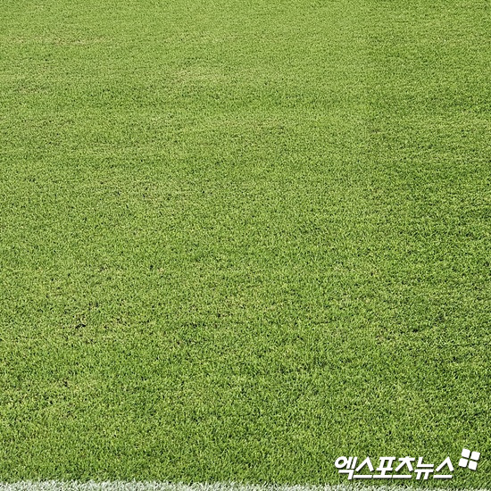 광주FC 날벼락! 알힐랄전 경기장 잔디 적응도 못하고 싸운다…