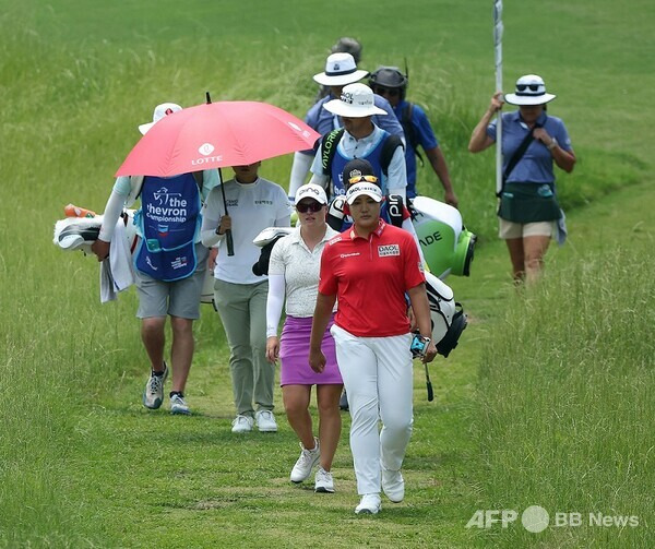 유해란, 셰브론 챔피언십 3R 선두 '메이저 첫 우승 조준'…동반한 최혜진 6위 [LPGA]