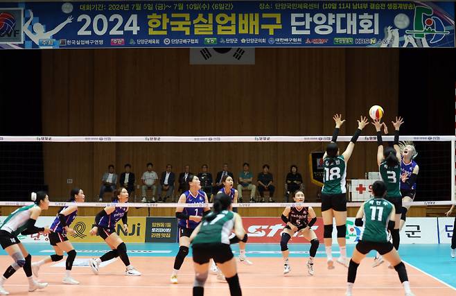 고민지, 하효림, 이예담, 채선아 실업팀서 새출발...퓨처스 챔프전 내달 2일 개막