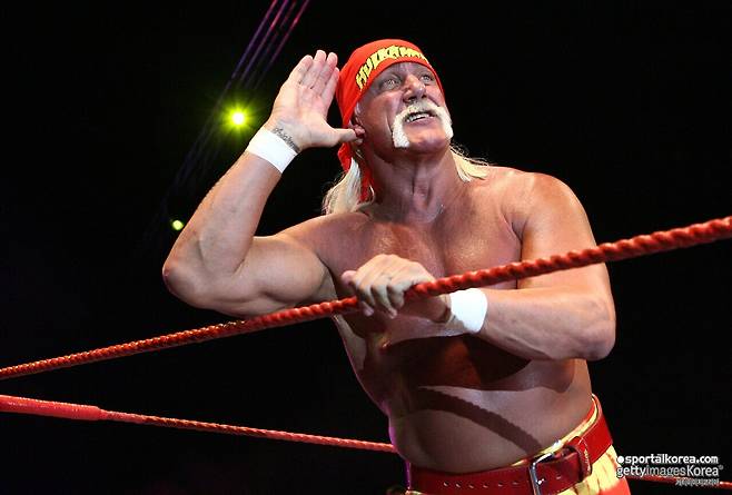 '프로레슬링의 아이콘' WWE 전설 헐크 호건, 사망원인 밝혀졌다...기저질환도 영향