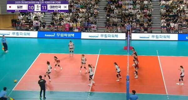 女배구, 한일전 이기고도 싸늘한 민심… 왜?