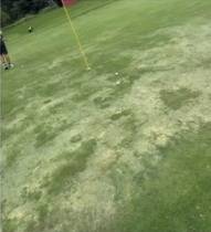 “LPGA 대회가 열리는데 그린이 러프 같다”…뷰익 LPGA 상하이, 심각하게 그린 훼손된 상태에서 열려