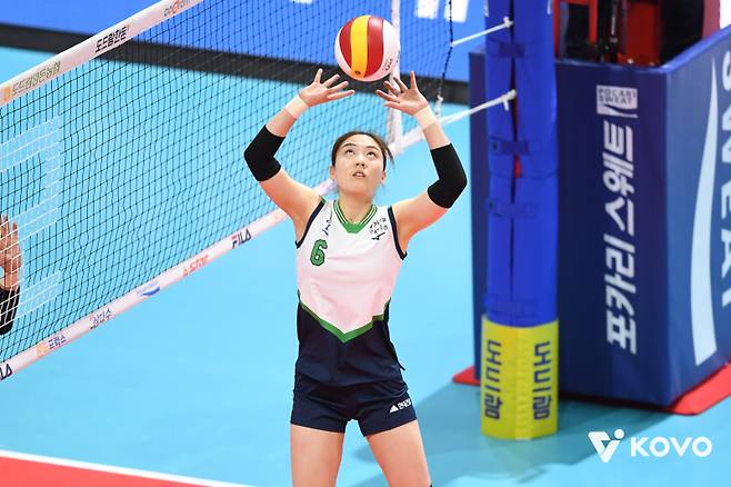 세터 5명이나 있는데, 흥국생명은 왜 '원더독스' 출신 베테랑 이나연을 영입했나 [IS 포커스]