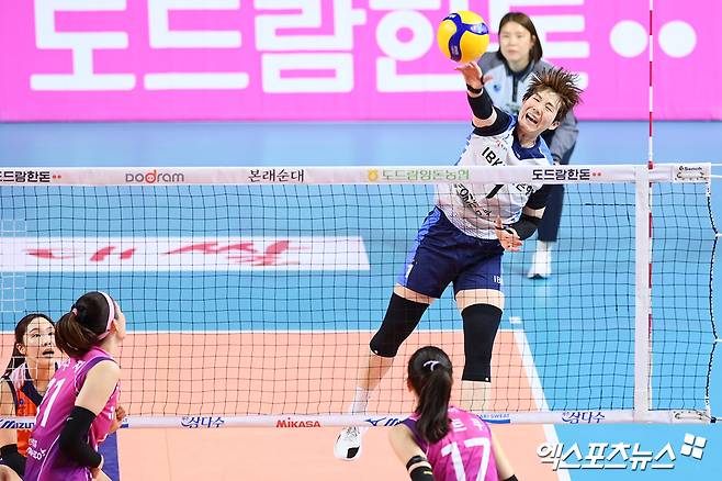 무려 '14억' 자진 포기라니…IBK 이소영, 右 어깨 근육 손상→수술 시즌 아웃→계약 해지 요청