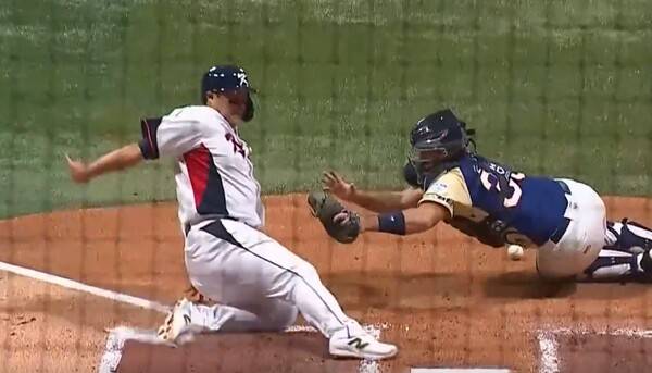 체코 하딤 감독