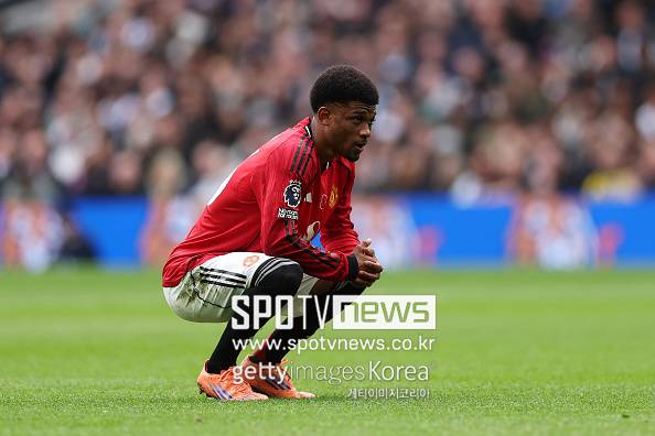 英 BBC 떴다, 히샬리송 상의탈의 ‘오열’→이상한 무승부…