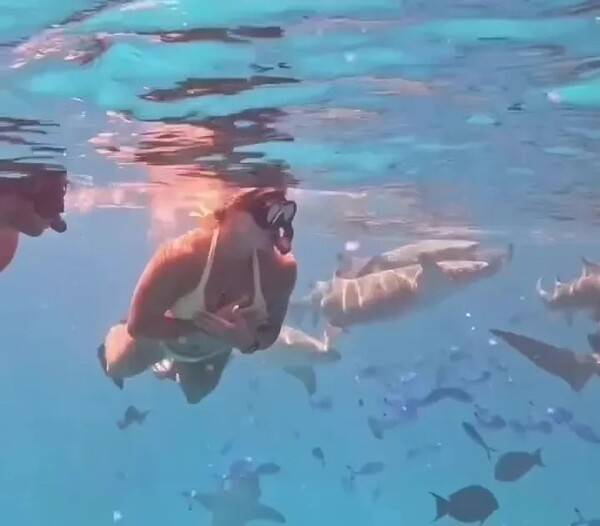 세계 1위의 민낯… 라켓 투척 논란→70억 날리고도 여유, 사발렌카 몰디브서 남자친구와 휴가·상어 수영까지 만끽