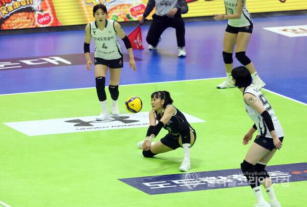 배지환 수원시의원, 배구 시청자 몰입 방해 '형광 배구코트' 문제 지적