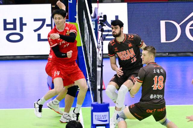 코트에 쓰러진 24세 몽골 청년을 바라보는 안타까움…