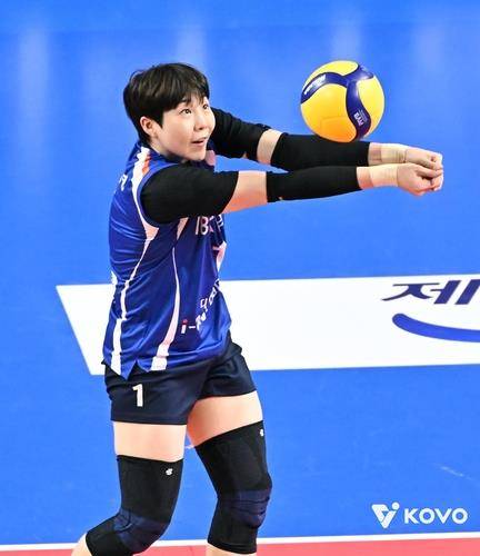 프로배구 여자부 연봉 상한 3억여원 감액 이유는…효율의 문제