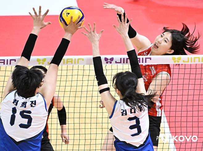 프로배구 여자부 연봉 상한 3억여원 감액 이유는…효율의 문제