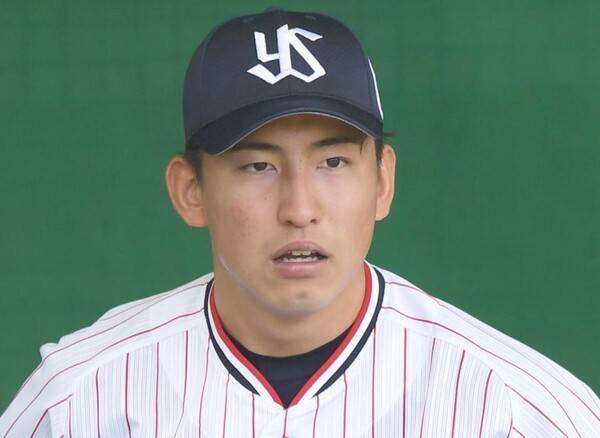 충격 악플 세례