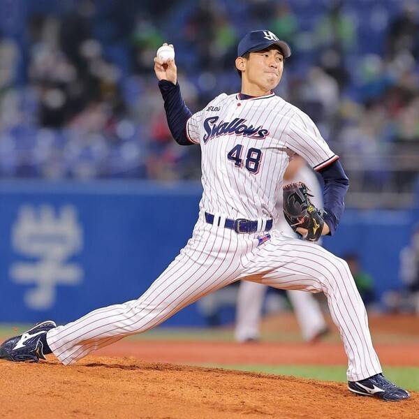 충격 악플 세례