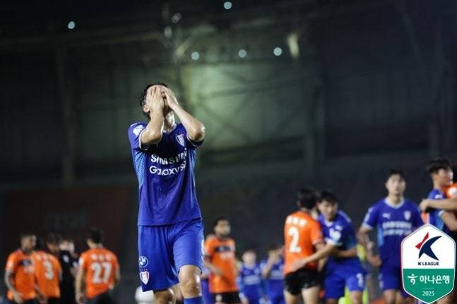 이영표 격찬 발언