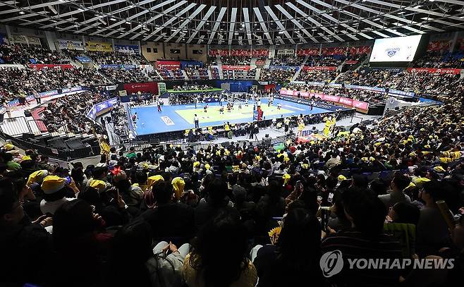 프로배구 독주체제 균열 분위기…뜨거운 세밑 추격전