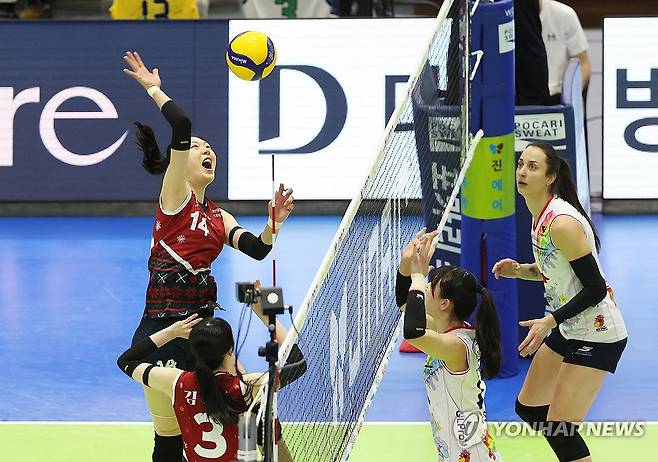 프로배구 독주체제 균열 분위기…뜨거운 세밑 추격전