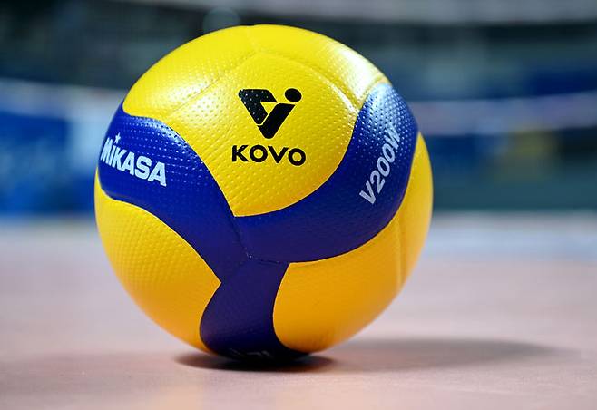 시청률은 2배인데 연봉은 적게…인권위, '여자배구 보수 차별' 조사 착수