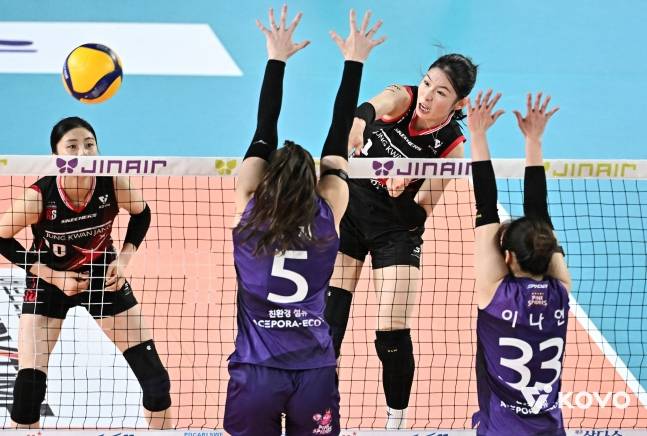 '공격+리시브'에 흥행까지, 인기스타 인쿠시... 반쪽짜리 오명 씻고 '정관장 복덩이'가 됐다