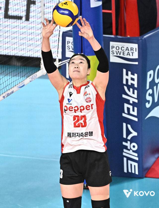 '도공→GS→흥국→페퍼' 부상에서 돌아온 야전사령관 손끝을 주목하라